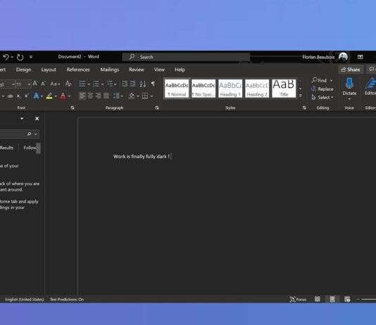 MS Word for Windows 10