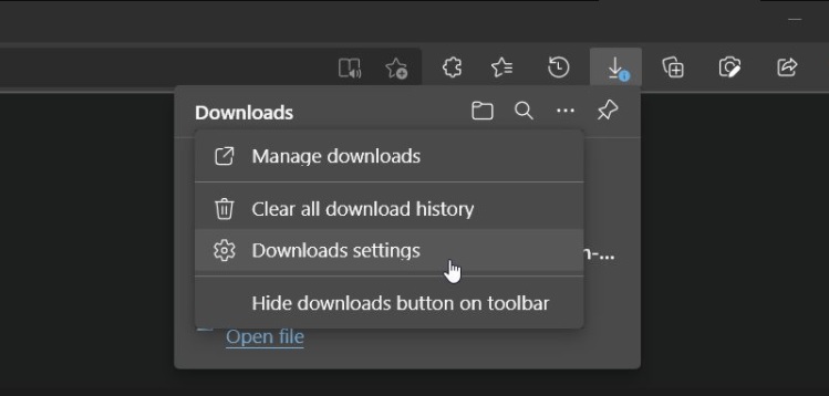 Edge downloads flyout UI