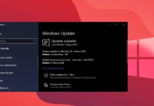 Windows 10 Flash Player