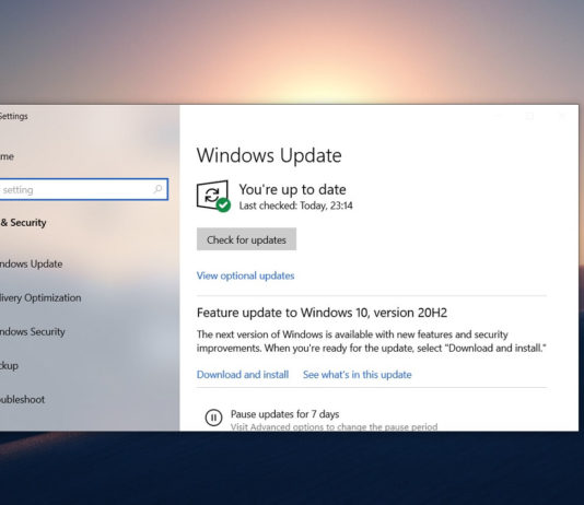 Windows 10 Build 18363.1316 is now available, download offline installers Windows 10 KB4598229