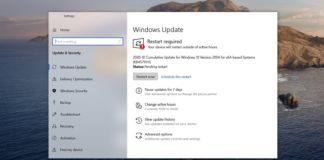 Windows 10 KB4601319 issues