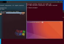 Windows 10 Terminal