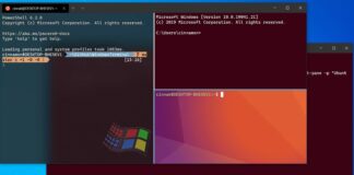 Windows 10 Terminal