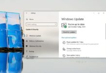 Windows 10 feature updates
