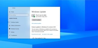 Windows 10 version 21H1