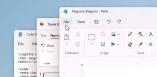 Windows 11 Paint and Notepad
