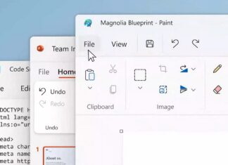 Windows 11 Paint and Notepad