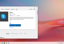 Windows 11 Skype