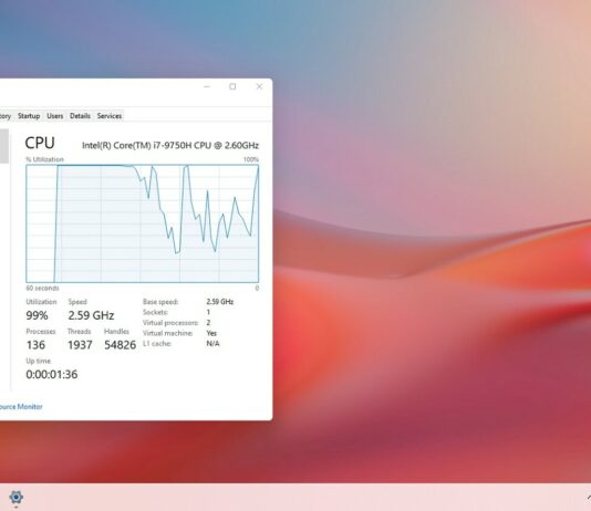 Windows 11 Task Manager