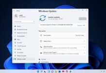 Windows 11 Build 22000.100