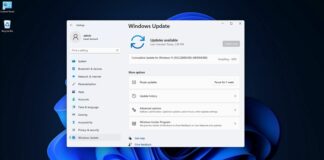 Windows 11 Build 22000.100