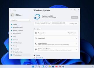 Windows 11 Build 22000.100