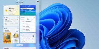 Windows 11 popular