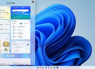 Windows 11 popular
