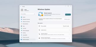 Windows 11 Build 22000.168