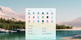 Windows 11 Snipping Tool