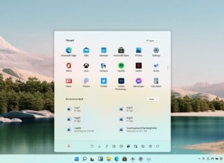 Windows 11 Snipping Tool