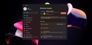 Windows 11 Build 22000.176