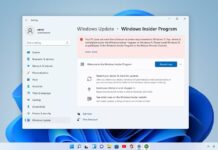 Windows 11 preview unsupported PCs