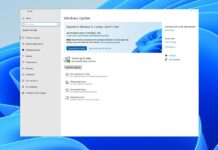 Windows 11 release rollout