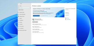 Windows 11 release rollout