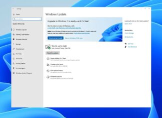 Windows 11 release rollout