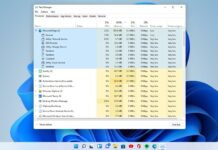 Windows 11 Task Manager features