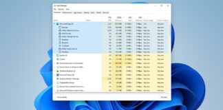 Windows 11 Task Manager features