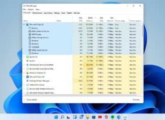 Windows 11 Task Manager features