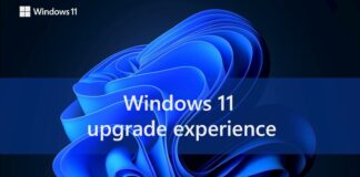 Windows 11 feature downloads