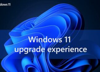 Windows 11 feature downloads