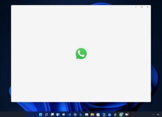 WhatsApp for Windows 11