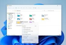 Windows 11 app crashes bug