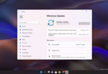 Windows 11 Build 22523 features
