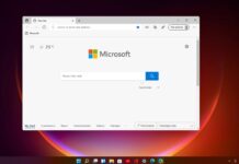 Windows 11 Edge browser