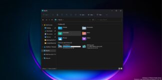 Windows 11 File Explorer