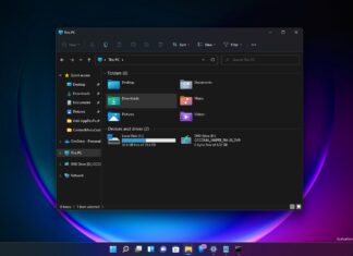 Windows 11 File Explorer