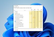Windows 11 slow bug