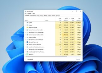 Windows 11 slow bug