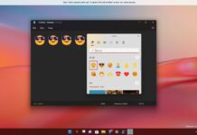 Windows 11 KB5009566
