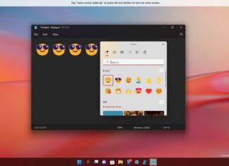 Windows 11 KB5009566