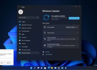 Windows 11 Build 22557
