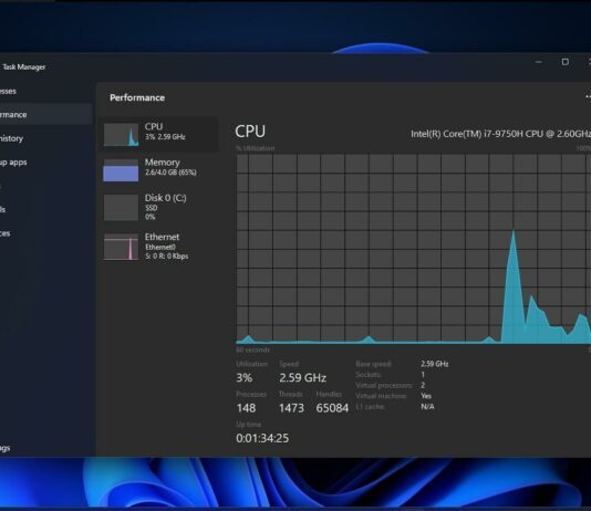 Windows 11 Task Manager hands on