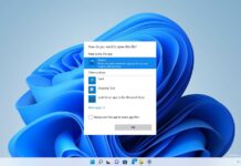 Windows 11 default apps selection tool