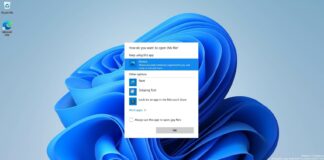 Windows 11 default apps selection tool