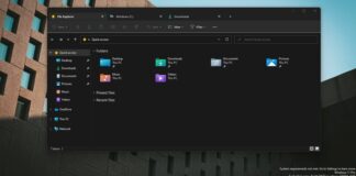Windows 11 Explorer tabs