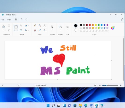 Windows 11 Paint app