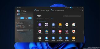 Windows 11 Phone Link feature