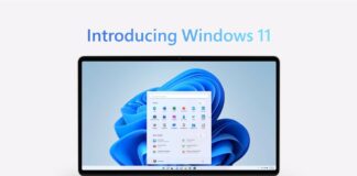 Windows 11 default browser update