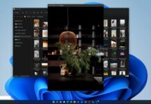 Windows 11 macOS feature